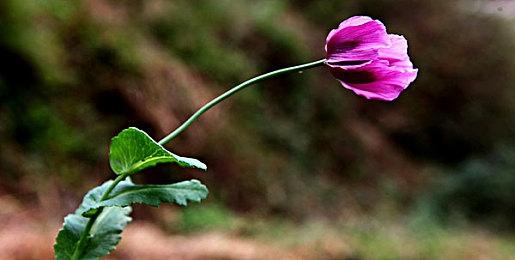 《NBA 2K22》IGN 7分：进攻相比防守更好 氪金依旧